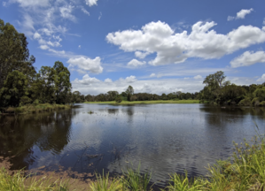 Coomera River Action Group